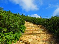 Cesta na Sněžku (Pec pod Sněžkou)