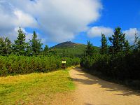 Sněžka (Pec pod Sněžkou)