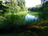 Velichovský rybník (Velichovky)