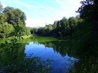 Velichovský rybník (Velichovky)