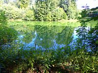 Velichovský rybník (Velichovky)