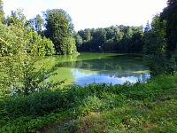 Velichovský rybník (Velichovky)