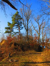 Opatovický písník (Opatovice nad Labem)