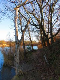 Opatovický písník (Opatovice nad Labem)
