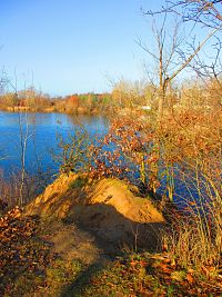 Opatovický písník (Opatovice nad Labem)