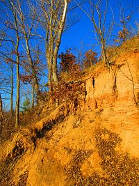 Opatovický písník (Opatovice nad Labem)