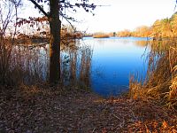Opatovický písník (Opatovice nad Labem)