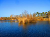 Opatovický písník (Opatovice nad Labem)