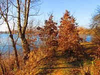 Opatovický písník (Opatovice nad Labem)