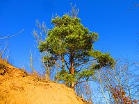Opatovický písník (Opatovice nad Labem)