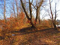 Opatovický písník (Opatovice nad Labem)