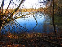 Hluboký rybník (Hradec Králové)