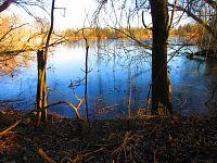 Hluboký rybník (Hradec Králové)