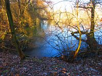 Hluboký rybník (Hradec Králové)