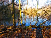 Hluboký rybník (Hradec Králové)