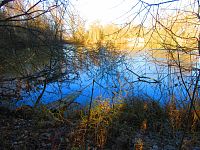 Hluboký rybník (Hradec Králové)