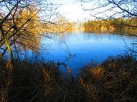 Hluboký rybník (Hradec Králové)