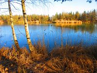 Hluboký rybník (Hradec Králové)