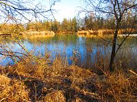 Hluboký rybník (Hradec Králové)