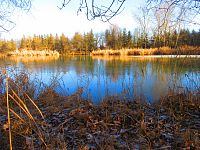 Hluboký rybník (Hradec Králové)