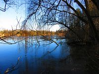 Hluboký rybník (Hradec Králové)