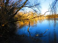 Hluboký rybník (Hradec Králové)