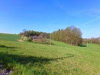 Les u Zaječí 1. dílu (Dolany)