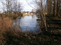 Rybník pod Pálenkou (Hradec Králové)