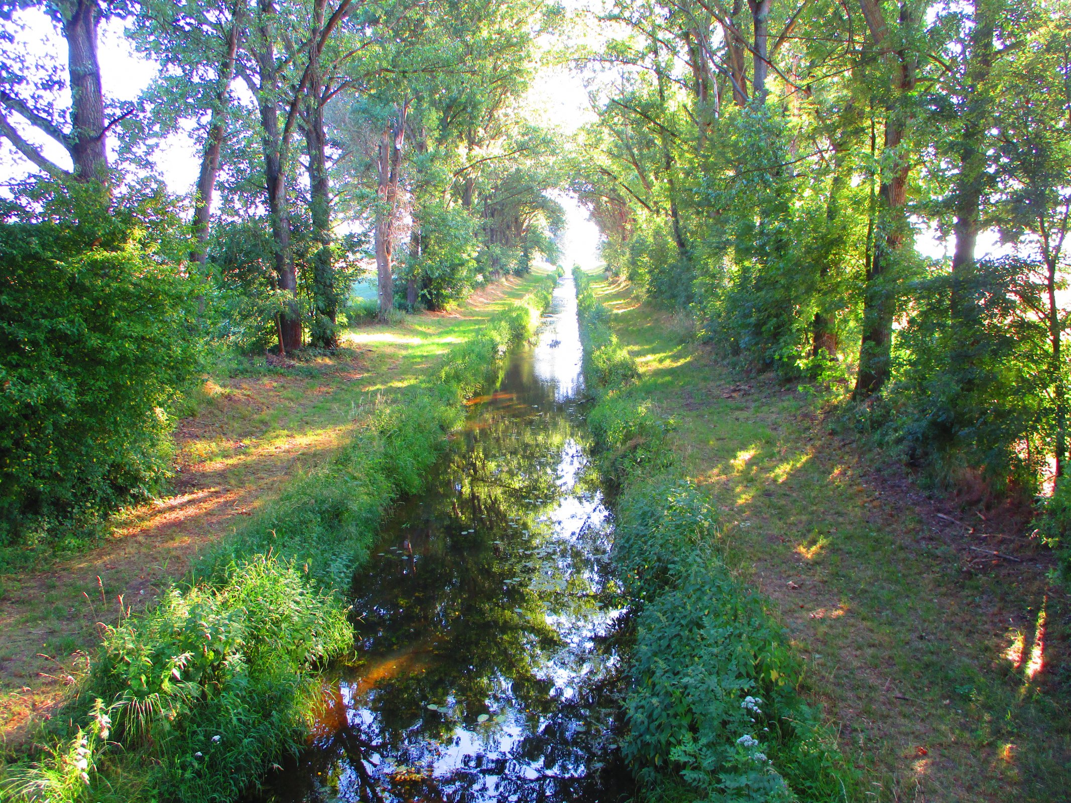 Zaniklá ves Luh čili Luhy u Nového Města nad Cidlinou