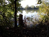 Rybník Velký Lhoták (Staré Nechanice)