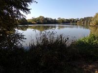 Rybník Velký Lhoták (Staré Nechanice)