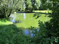 Nádrž při cestě do Sobětuše (Lubno)