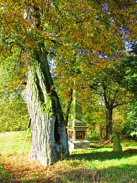 Hořiněveské lípy (Hořiněves)