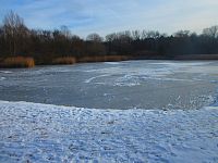 Rybník Plachta (Hradec Králové)