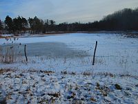 Rybník Jáma (Hradec Králové)