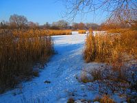 Bohdanecký rybník (Hradec Králové)