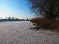 Bohdanecký rybník (Hradec Králové)