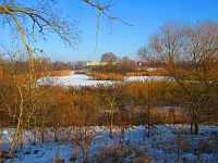 Bohdanecký rybník (Hradec Králové)