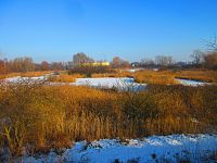 Bohdanecký rybník (Hradec Králové)