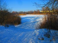 Bohdanecký rybník (Hradec Králové)