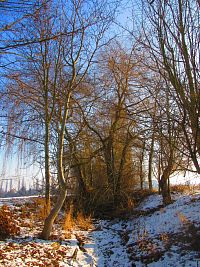 Chaloupecká svodnice (Hradec Králové)