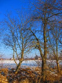 Chaloupecká svodnice (Hradec Králové)