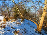 Chaloupecká svodnice (Hradec Králové)