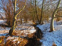 Chaloupecká svodnice (Hradec Králové)