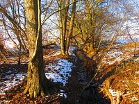 Chaloupecká svodnice (Hradec Králové)