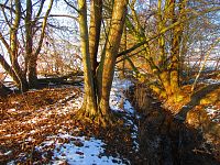 Chaloupecká svodnice (Hradec Králové)