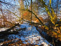 Chaloupecká svodnice (Hradec Králové)