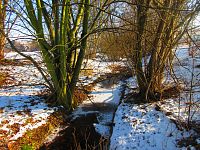 Chaloupecká svodnice (Hradec Králové)