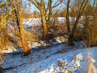 Chaloupecká svodnice (Hradec Králové)