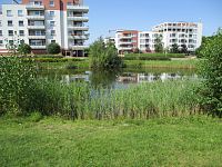 Ulice Rybova a U Parku (Hradec Králové), část původních Občin